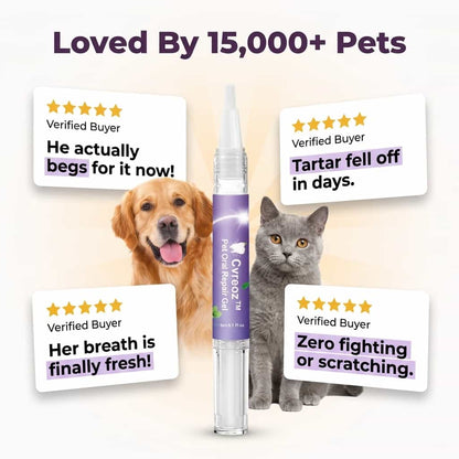 Brush-Free Pet Dental Gel