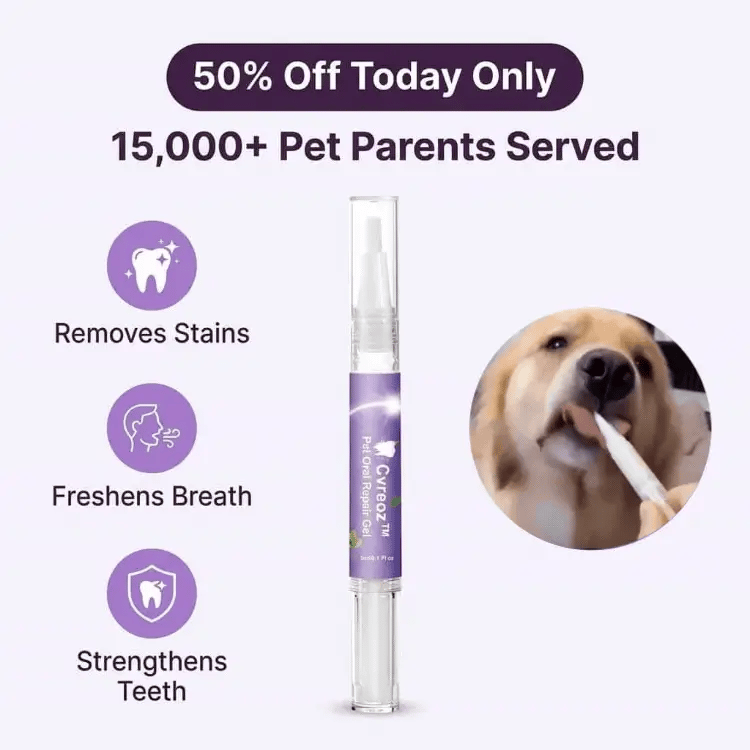 Brush-Free Pet Dental Gel