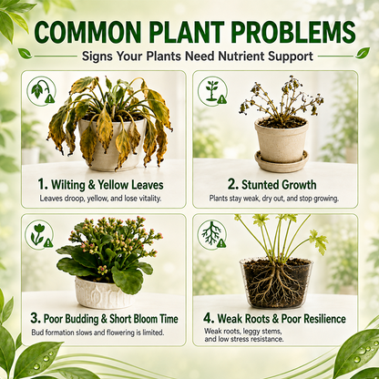 Ready-to-Use Plant Food Spikes